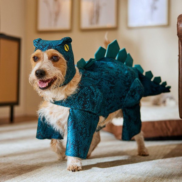 Show full view: Frisco Stegosaurus Dinosaur Dog & Cat Costume, Large slide 6 of 8