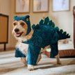 Show in main carousel: Frisco Stegosaurus Dinosaur Dog & Cat Costume, Large slide 6 of 8