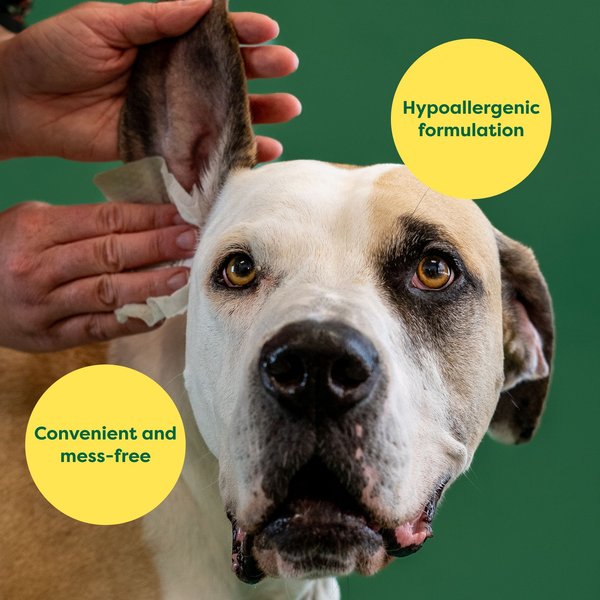 Show full view: Earth Rated Hypoallergenic & Plant Based Soothing Aloe & Chamomile Dog Ear Cleansing Wipes, 60 count slide 4 of 9
