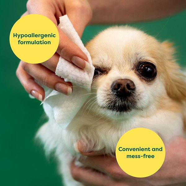 Show full view: Earth Rated Hypoallergenic Dirt & Tear Stain Removal Fragrance Free Dog Eye Wipes, 70 count slide 4 of 9