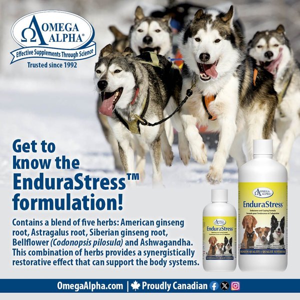 Show full view: Omega Alpha EnduraStress Endurance & Coping Formula Dog & Cat Supplement, 120-mL bottle slide 4 of 5