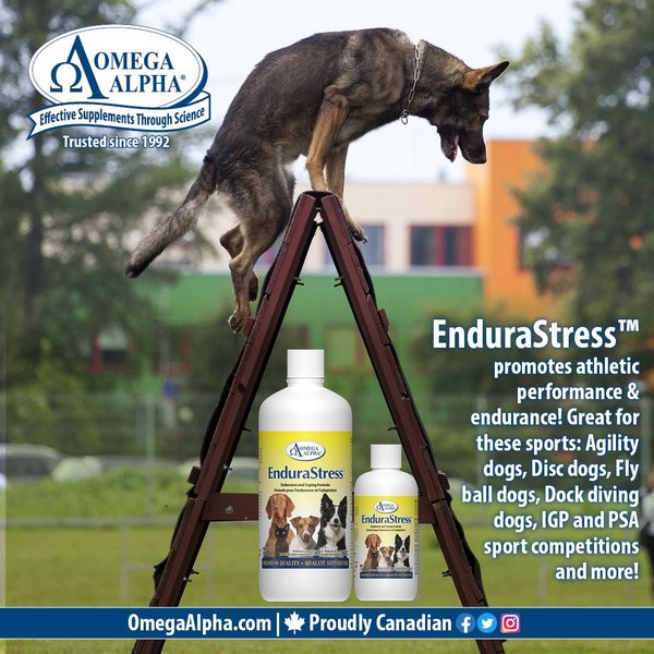 Show full view: Omega Alpha EnduraStress Endurance & Coping Formula Dog & Cat Supplement, 120-mL bottle slide 5 of 5