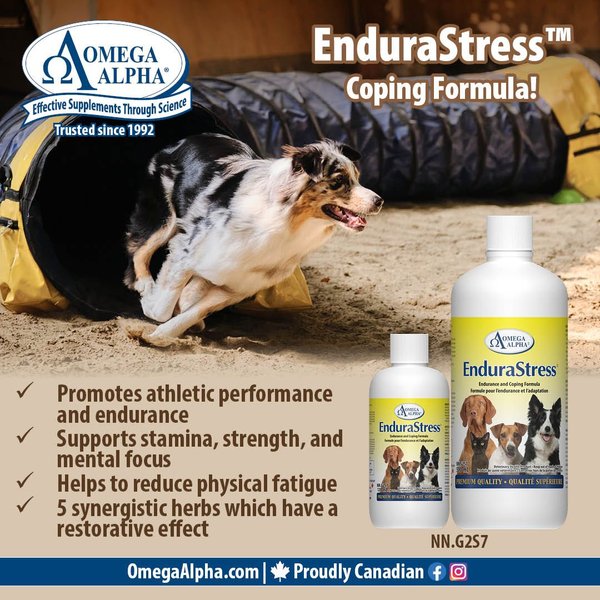 Show full view: Omega Alpha EnduraStress Endurance & Coping Formula Dog & Cat Supplement, 500-mL bottle slide 4 of 5