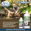 Show in main carousel: Omega Alpha E-Z Mobility Joint & Flexibility Dog & Cat Supplement, 120-mL bottle slide 5 of 6