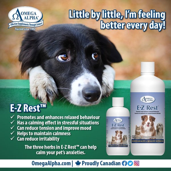 Show full view: Omega Alpha E-Z Rest Relaxation Dog & Cat Supplement, 120-mL bottle slide 6 of 8