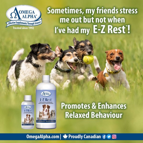 Show full view: Omega Alpha E-Z Rest Relaxation Dog & Cat Supplement, 120-mL bottle slide 7 of 8