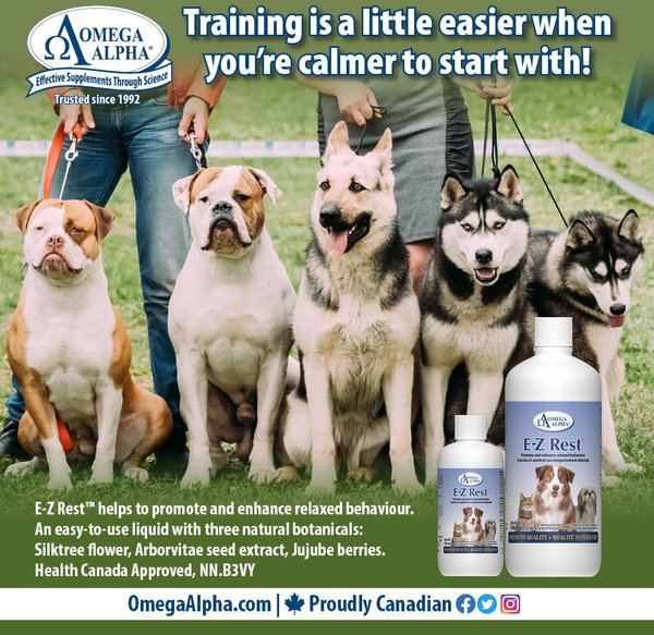 Show full view: Omega Alpha E-Z Rest Relaxation Dog & Cat Supplement, 120-mL bottle slide 8 of 8