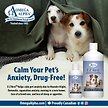 Show in main carousel: Omega Alpha E-Z Rest Relaxation Dog & Cat Supplement, 500-mL bottle slide 4 of 8