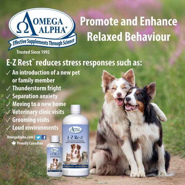 Show full view: Omega Alpha E-Z Rest Relaxation Dog & Cat Supplement, 500-mL bottle slide 8 of 8