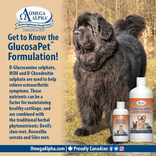 Show full view: Omega Alpha GlucosaPet Joint & Cartilage Dog & Cat Supplement, 500-mL bottle slide 4 of 5