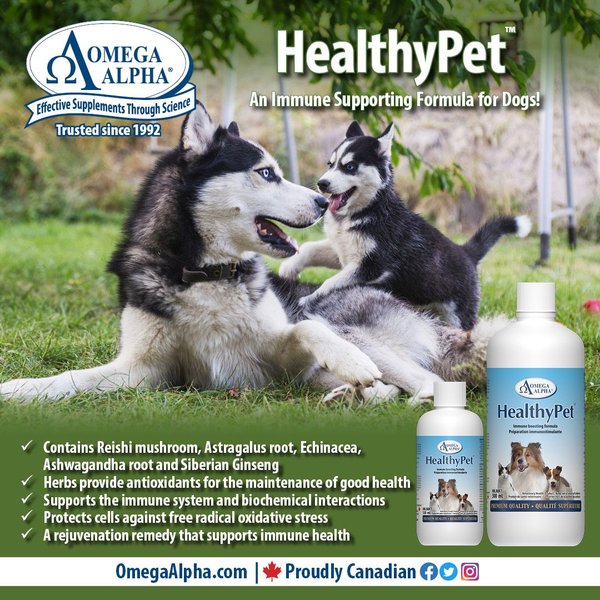 Show full view: Omega Alpha HealthyPet Immune Support Dog & Cat Supplement, 120-mL bottle slide 4 of 5