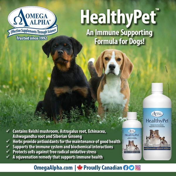 Show full view: Omega Alpha HealthyPet Immune Support Dog & Cat Supplement, 120-mL bottle slide 5 of 5