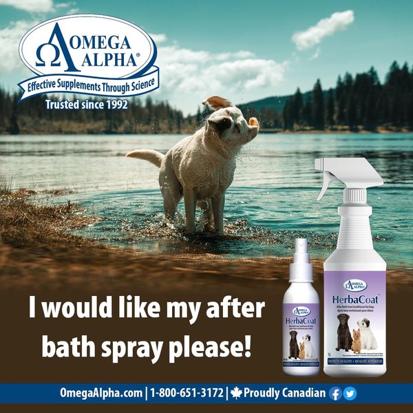 Show full view: Omega Alpha HerbaCoat Dog Coat Conditioner, 120-mL bottle slide 5 of 6