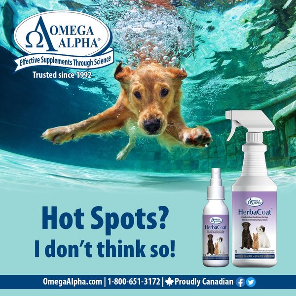 Show full view: Omega Alpha HerbaCoat Dog Coat Conditioner, 120-mL bottle slide 6 of 6