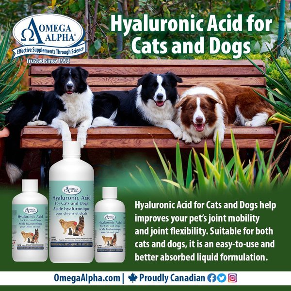 Show full view: Omega Alpha Hyaluronic Acid Joint Lubricant Dog & Cat Supplement, 120-mL bottle slide 4 of 4