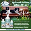 Show in main carousel: Omega Alpha Hyaluronic Acid Joint Lubricant Dog & Cat Supplement, 120-mL bottle slide 4 of 4