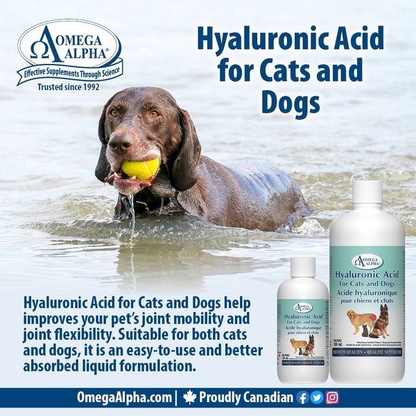 Show full view: Omega Alpha Hyaluronic Acid Joint Lubricant Dog & Cat Supplement, 500-mL bottle slide 4 of 5