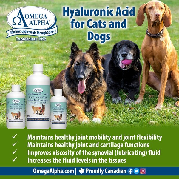 Show full view: Omega Alpha Hyaluronic Acid Joint Lubricant Dog & Cat Supplement, 500-mL bottle slide 5 of 5