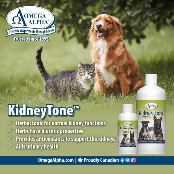 Show full view: Omega Alpha KidneyTone Kidney Detoxification Dog & Cat Supplement, 500-mL bottle slide 4 of 5