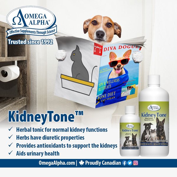 Show full view: Omega Alpha KidneyTone Kidney Detoxification Dog & Cat Supplement, 500-mL bottle slide 5 of 5