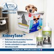 Show in main carousel: Omega Alpha KidneyTone Kidney Detoxification Dog & Cat Supplement, 500-mL bottle slide 5 of 5