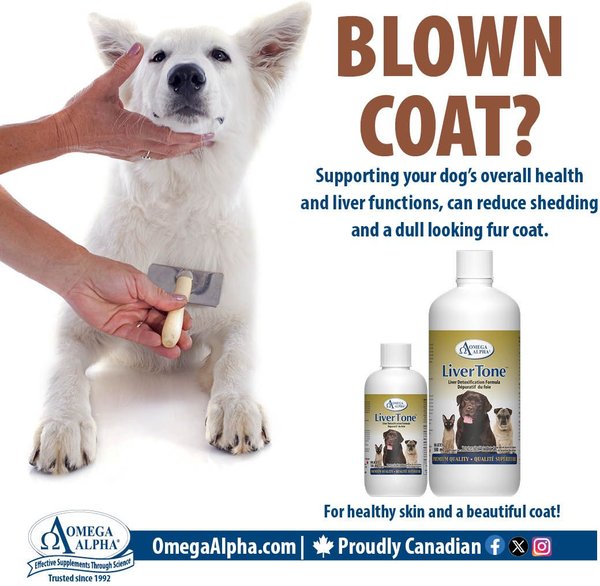 Show full view: Omega Alpha LiverTone Liver Detoxification Dog & Cat Supplement, 120-mL bottle slide 5 of 5