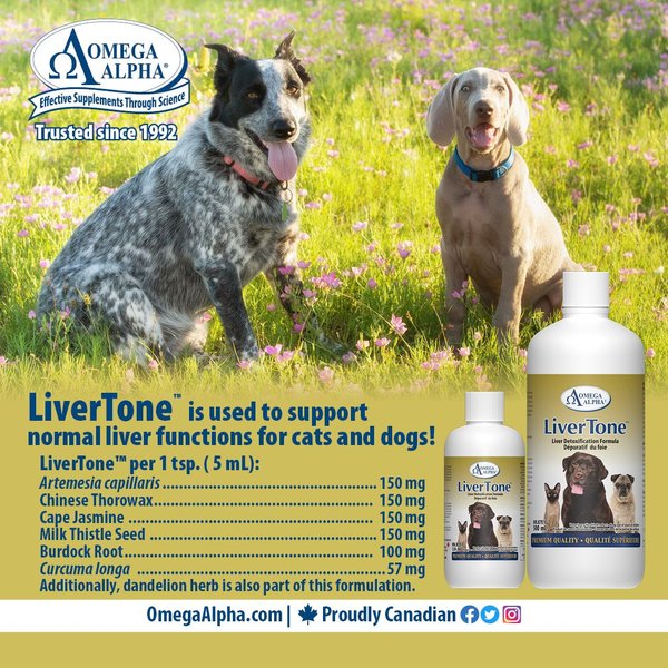 Show full view: Omega Alpha LiverTone Liver Detoxification Dog & Cat Supplement, 500-mL bottle slide 4 of 5
