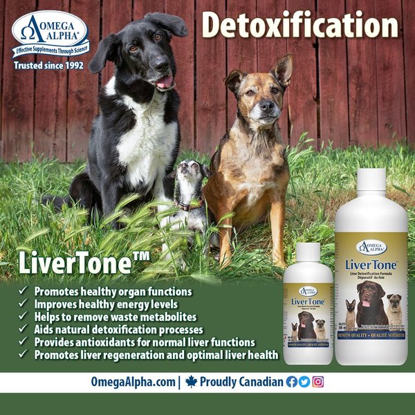 Show full view: Omega Alpha LiverTone Liver Detoxification Dog & Cat Supplement, 500-mL bottle slide 5 of 5