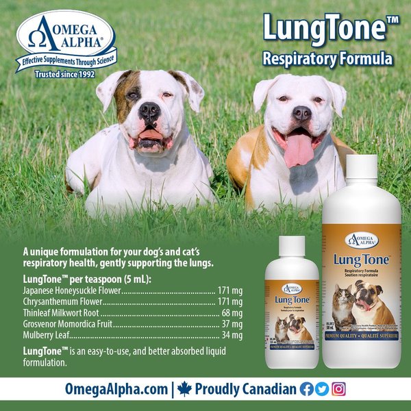 Show full view: Omega Alpha LungTone Respiratory Formula Dog & Cat Supplement, 120-mL bottle slide 4 of 5