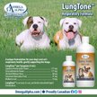 Show in main carousel: Omega Alpha LungTone Respiratory Formula Dog & Cat Supplement, 120-mL bottle slide 4 of 5