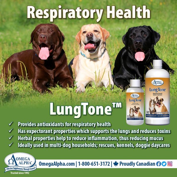 Show full view: Omega Alpha LungTone Respiratory Formula Dog & Cat Supplement, 120-mL bottle slide 5 of 5