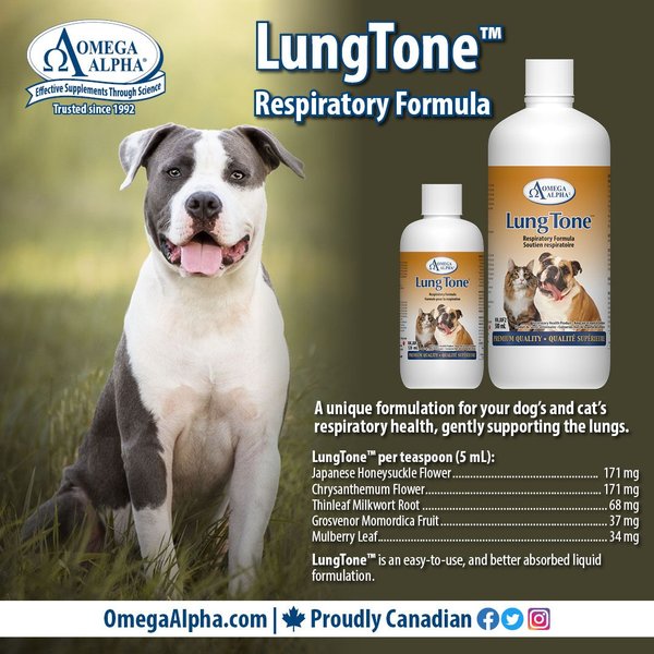 Show full view: Omega Alpha LungTone Respiratory Formula Dog & Cat Supplement, 500-mL bottle slide 4 of 5