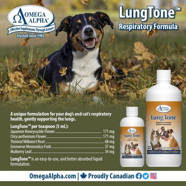 Show full view: Omega Alpha LungTone Respiratory Formula Dog & Cat Supplement, 500-mL bottle slide 5 of 5