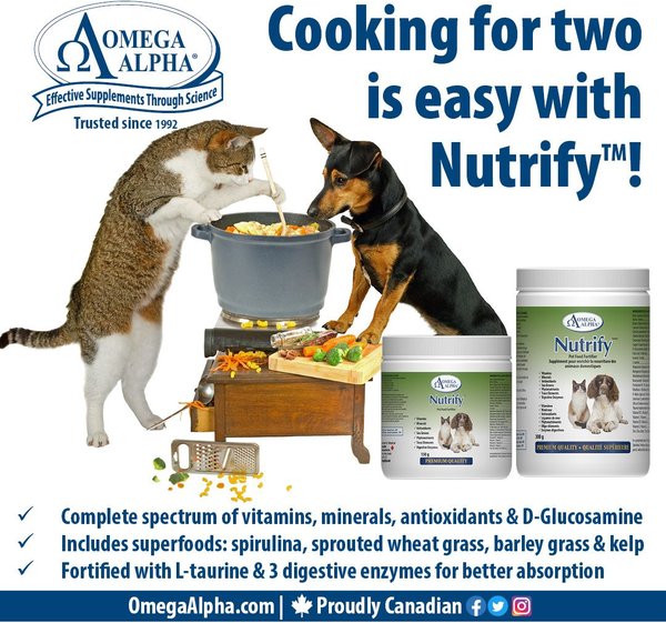 Show full view: Omega Alpha Nutrify Food Fortifier Dog & Cat Supplement, 300-g bottle slide 4 of 6