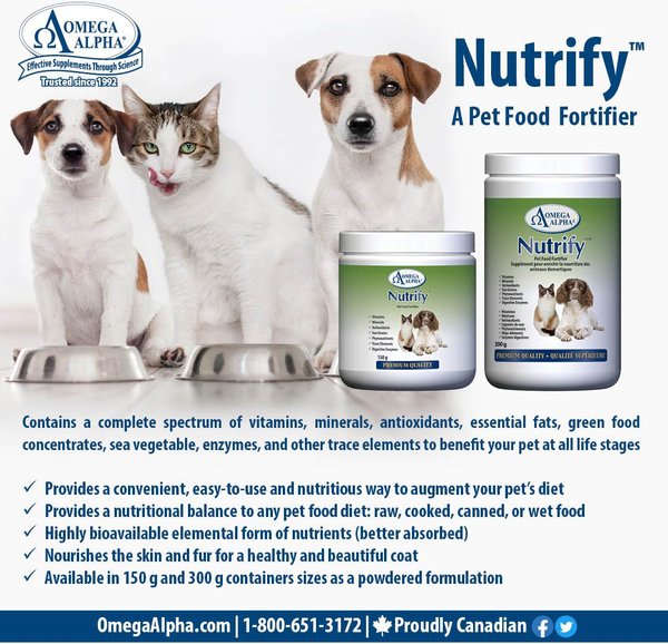 Show full view: Omega Alpha Nutrify Food Fortifier Dog & Cat Supplement, 300-g bottle slide 6 of 6