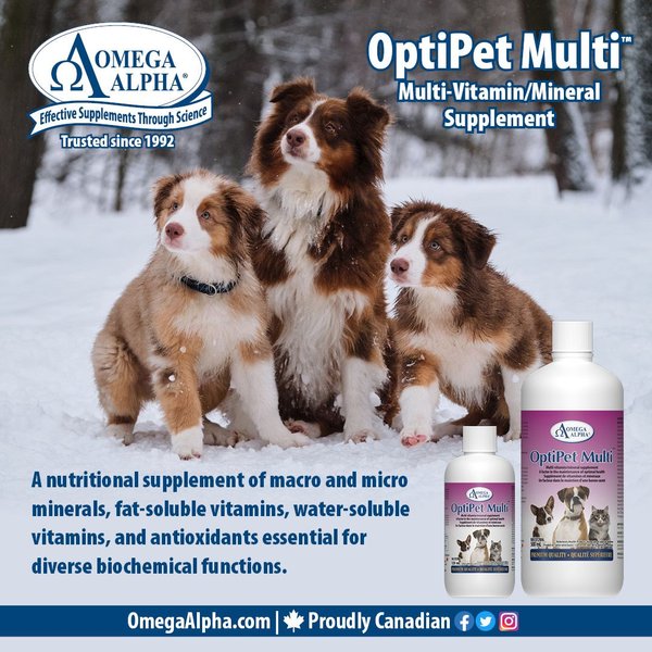 Show full view: Omega Alpha OptiPet Multi Multivitamin Mineral Dog & Cat Supplement, 500-mL bottle slide 5 of 5