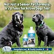 Show in main carousel: Omega Alpha Pet Vitality Senior Formula Dog & Cat Supplement, 120-mL bottle slide 6 of 6