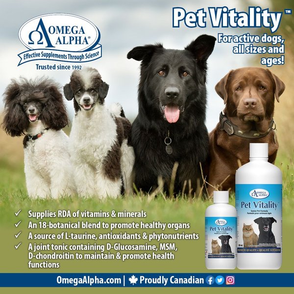 Show full view: Omega Alpha Pet Vitality Senior Formula Dog & Cat Supplement, 500-mL bottle slide 3 of 5
