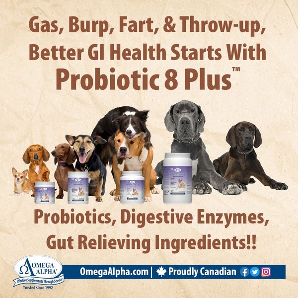 Show full view: Omega Alpha Probiotic 8 Plus Healthy Digestion Dog & Cat Supplement, 310-g bottle slide 4 of 5