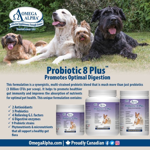 Show full view: Omega Alpha Probiotic 8 Plus Healthy Digestion Dog & Cat Supplement, 500-g bottle slide 4 of 5