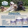 Show in main carousel: Omega Alpha Probiotic 8 Plus Healthy Digestion Dog & Cat Supplement, 500-g bottle slide 4 of 5