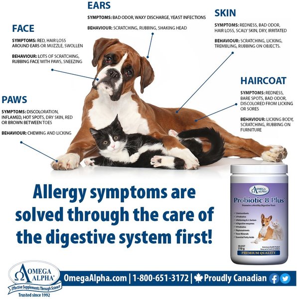 Show full view: Omega Alpha Probiotic 8 Plus Healthy Digestion Dog & Cat Supplement, 500-g bottle slide 5 of 5