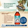 Show in main carousel: Omega Alpha Shiny Coat Healthy Skin & Coat Formula Dog & Cat Supplement, 500-mL bottle slide 4 of 8