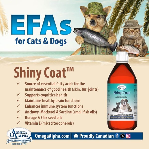 Show full view: Omega Alpha Shiny Coat Healthy Skin & Coat Formula Dog & Cat Supplement, 500-mL bottle slide 5 of 8