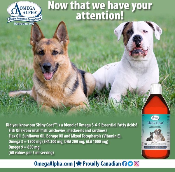 Show full view: Omega Alpha Shiny Coat Healthy Skin & Coat Formula Dog & Cat Supplement, 500-mL bottle slide 6 of 8