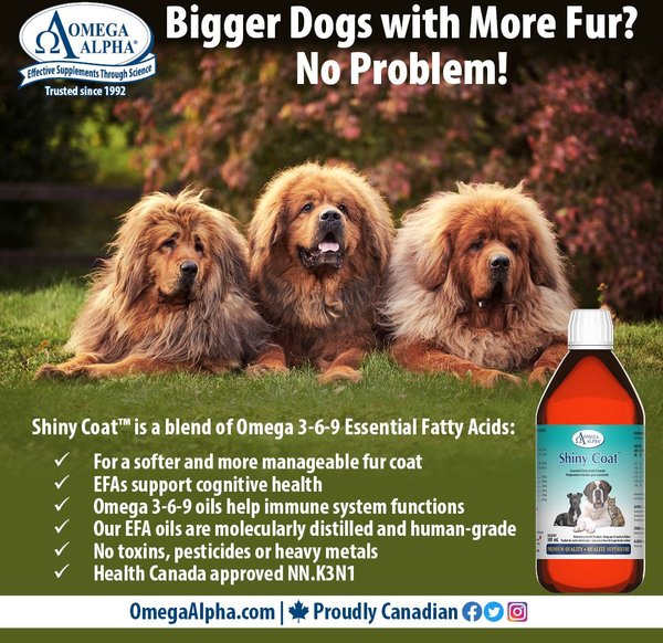 Show full view: Omega Alpha Shiny Coat Healthy Skin & Coat Formula Dog & Cat Supplement, 500-mL bottle slide 7 of 8