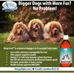Show in main carousel: Omega Alpha Shiny Coat Healthy Skin & Coat Formula Dog & Cat Supplement, 500-mL bottle slide 7 of 8