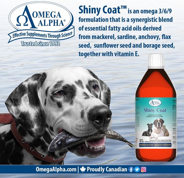 Show full view: Omega Alpha Shiny Coat Healthy Skin & Coat Formula Dog & Cat Supplement, 500-mL bottle slide 8 of 8
