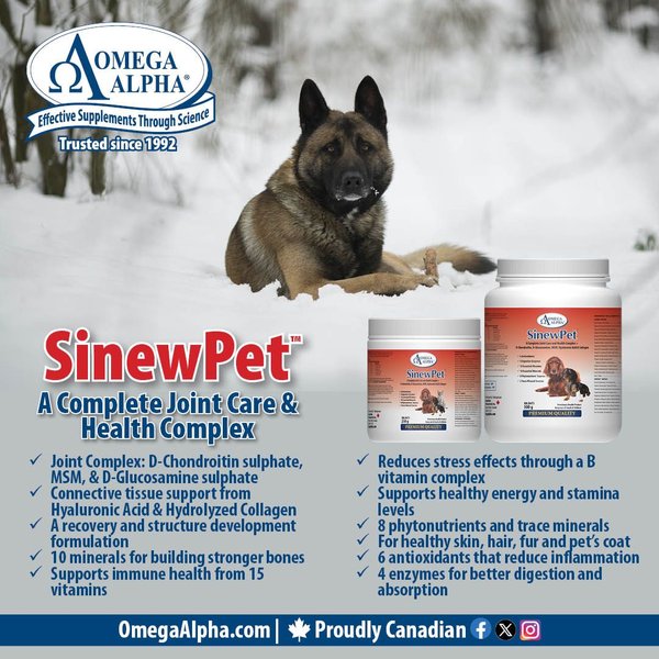 Show full view: Omega Alpha SinewPet Joint Care, Healthy Digestion, Skin & Coat Dog & Cat Supplement, 250-g bottle slide 4 of 7