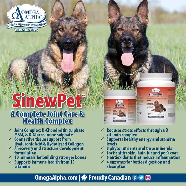 Show full view: Omega Alpha SinewPet Joint Care, Healthy Digestion, Skin & Coat Dog & Cat Supplement, 250-g bottle slide 5 of 7